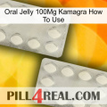 Oral Jelly 100Mg Kamagra How To Use 17